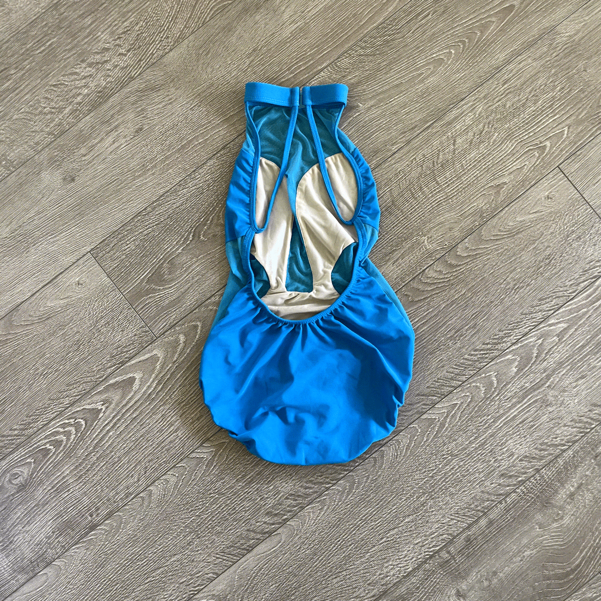 LA Dance Designs, Sky Blue Mesh Open Back Leotard, AS Women's 2/4